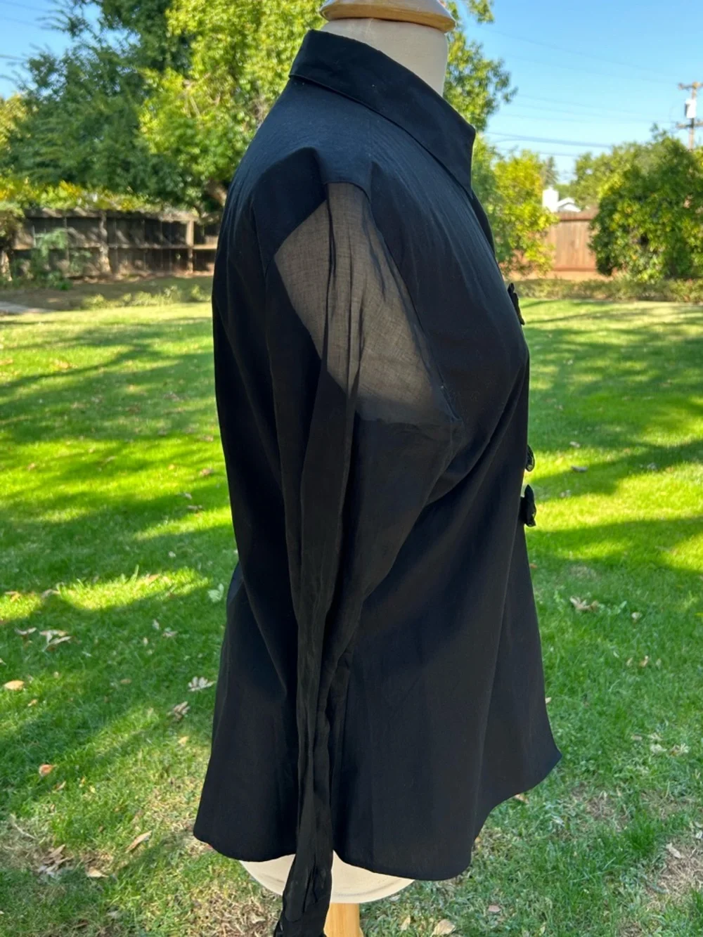 Anne Fontaine Black Sheer Sleeve Rosaorgal Blouse - Picture 4 of 9